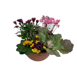 Composition extérieure...