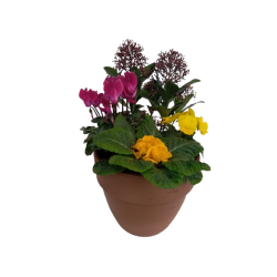 Composition extérieure...