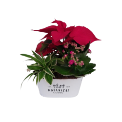 Composition intérieure...