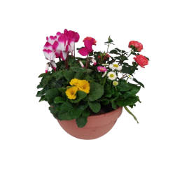 Composition extérieure...