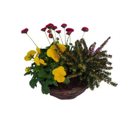 Composition extérieur...