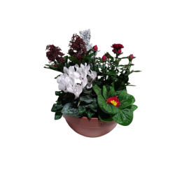 Composition extérieure...