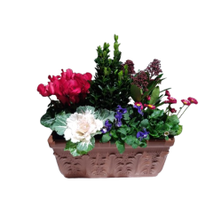 Composition extérieure...