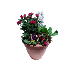 Composition extérieure...