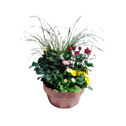 Composition extérieure...