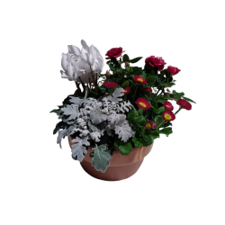 Composition extérieure...