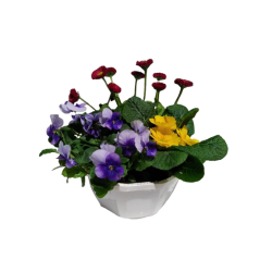 Composition extérieure 18...