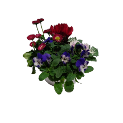 Composition extérieure 21...