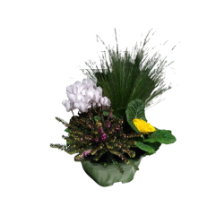 Composition extérieure 23...