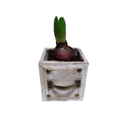 Composition intérieure...