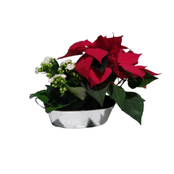 Composition intérieure...