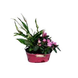 Composition intérieure...