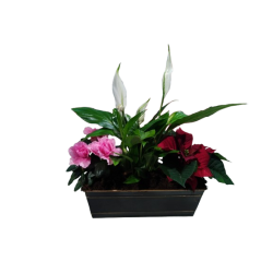 Composition intérieure...