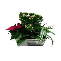 Composition intérieure...