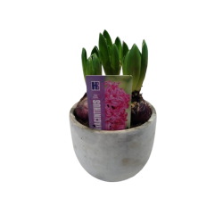 Composition intérieure...