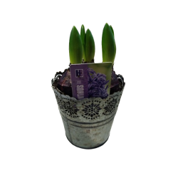 Composition intérieure...