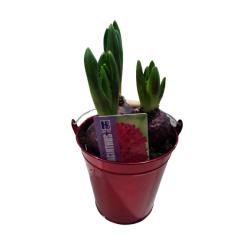 Composition intérieure...