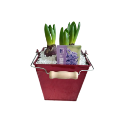 Composition intérieure...