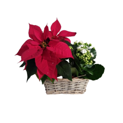 Composition intérieure...