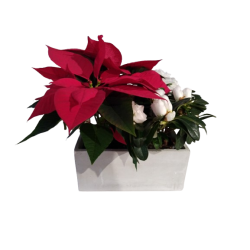 Composition intérieure...