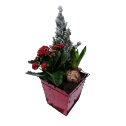 Composition intérieure...