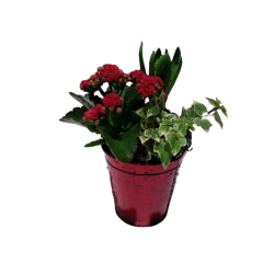 Composition intérieure...