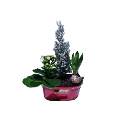 Composition intérieure...