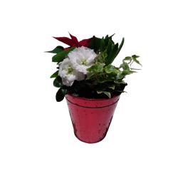 Composition intérieure...