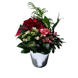 Composition intérieure...