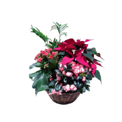 Composition intérieure...