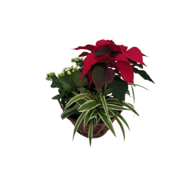 Composition intérieure...