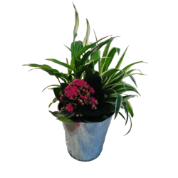 Composition intérieure...