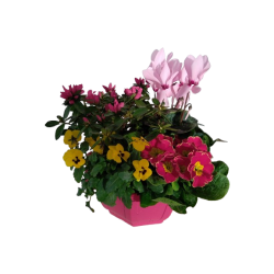 Composition extérieure 27...