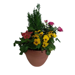 Composition extérieure...