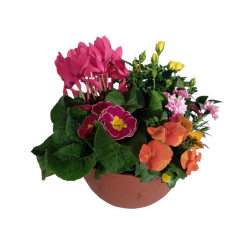 Composition extérieure...