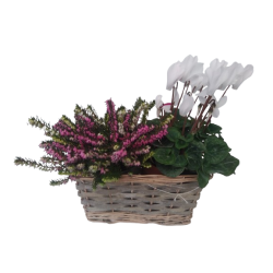 Composition extérieure...