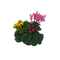 Composition extérieur...