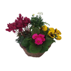 Composition extérieur...