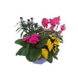 Composition extérieure 27...