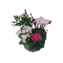 Composition extérieure 23...