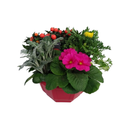 Composition extérieure 27...