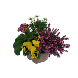 Composition extérieure 23...