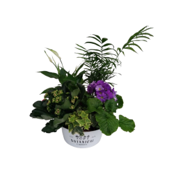 Composition intérieure...