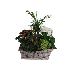 Composition intérieure...