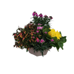 Composition extérieure 27...