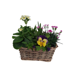 Composition extérieure...