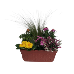 Composition extérieure...