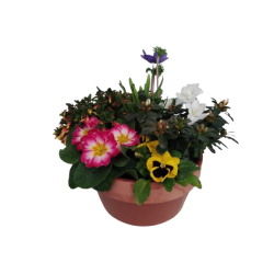 Composition extérieure...