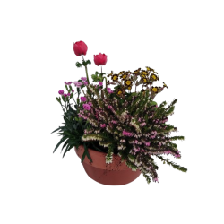 Composition extérieure...