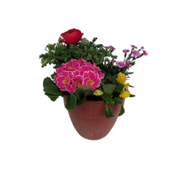 Composition extérieure...